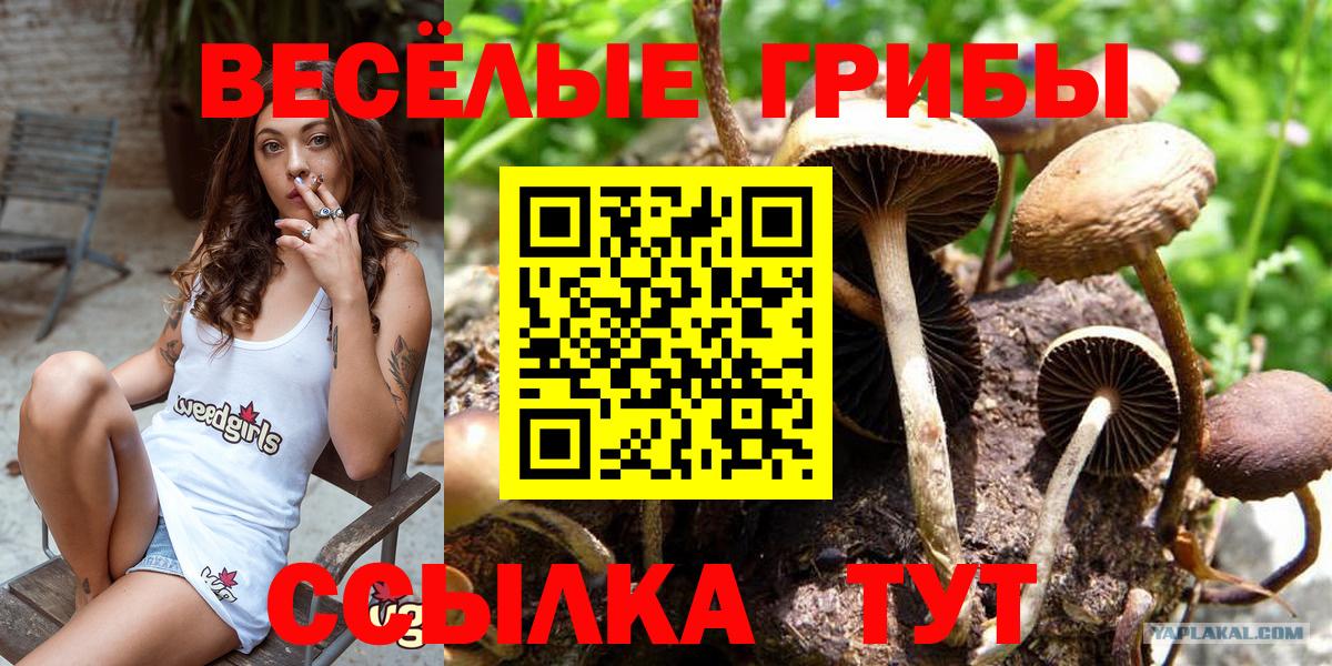 даркнет сайт  Галлюциногенные грибы мухоморы  Вход с VPN  Янаул  Псилоцибиновые грибы мицелий 