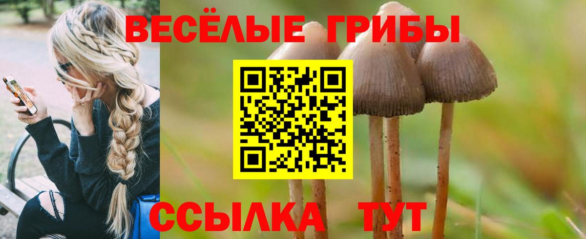Псилоцибиновые грибы Psilocybe Янаул